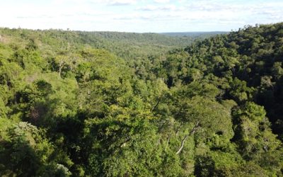 Info Desafío Misiones 2022