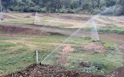 Suns Race con nuevo sistema de riego y baños para la próxima edición