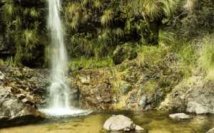 Screenshot 2024-12-30 at 12-43-13 villa larca san luis – Buscar con Google